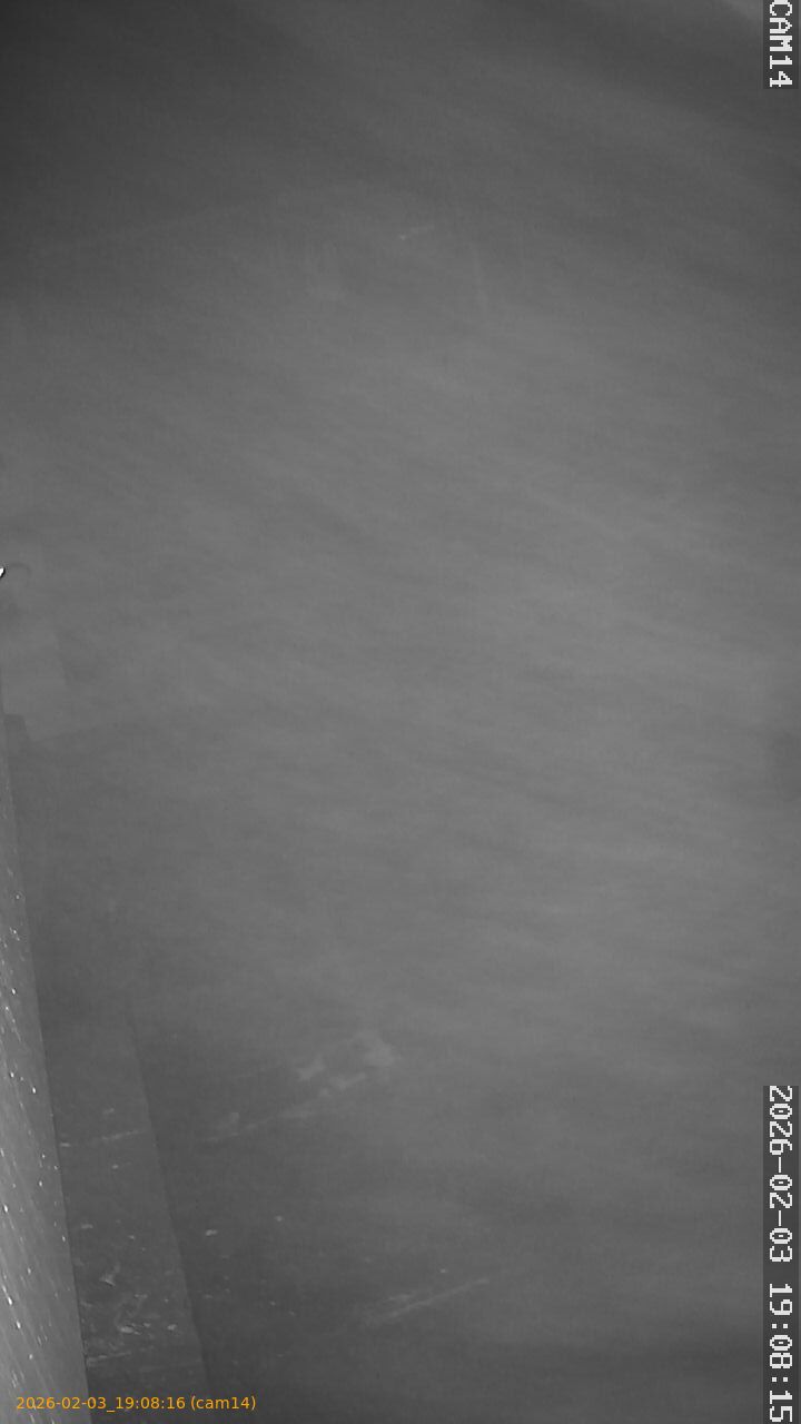 thumbnail_20260203190816