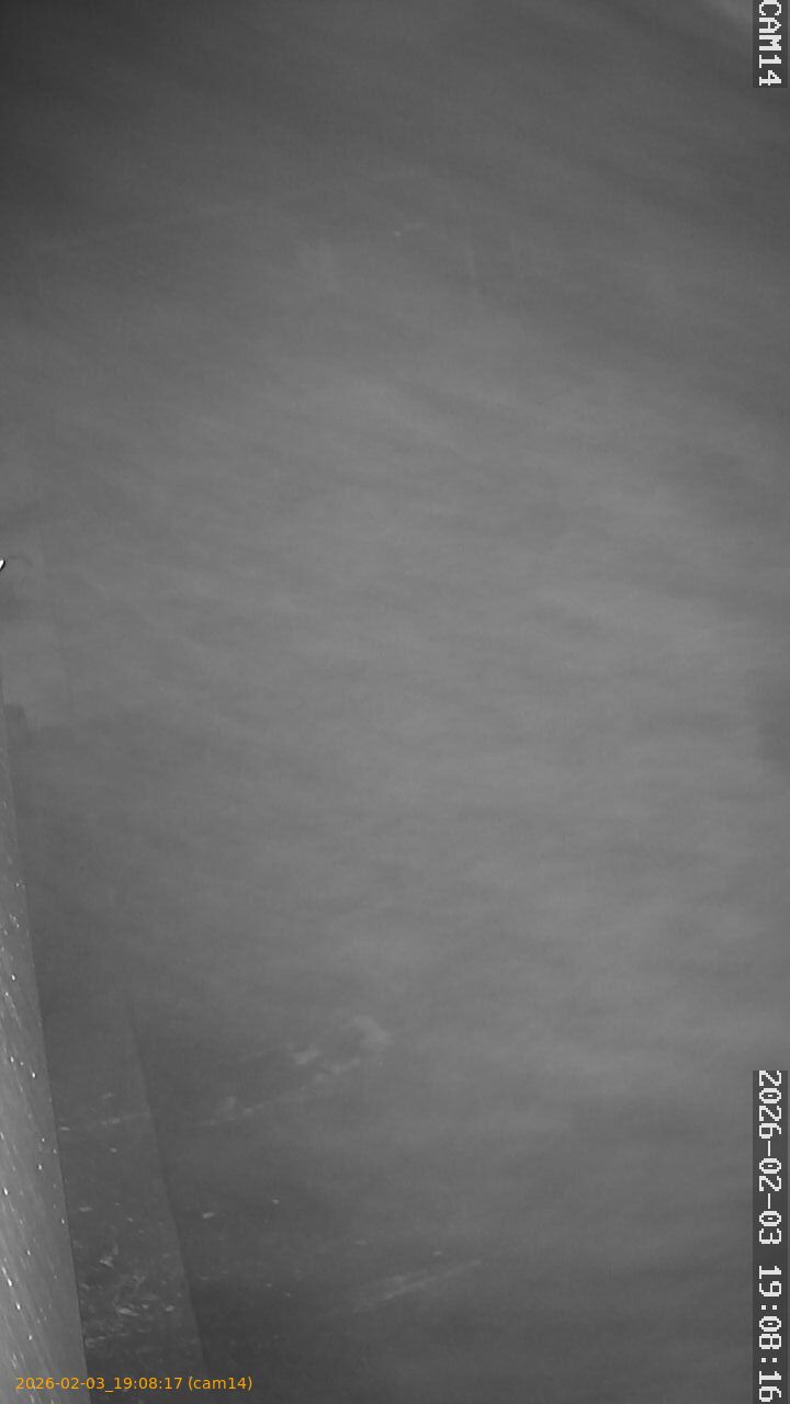 thumbnail_20260203190817