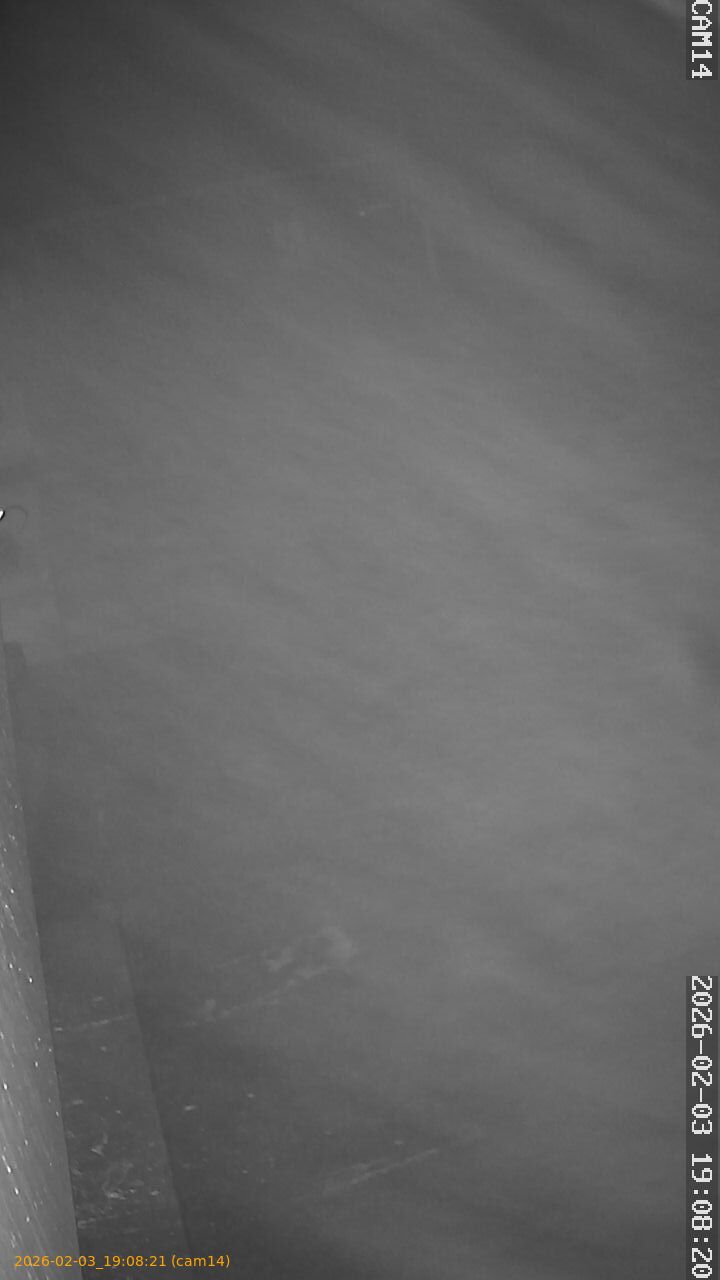 thumbnail_20260203190821