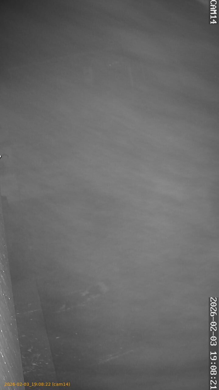 thumbnail_20260203190822