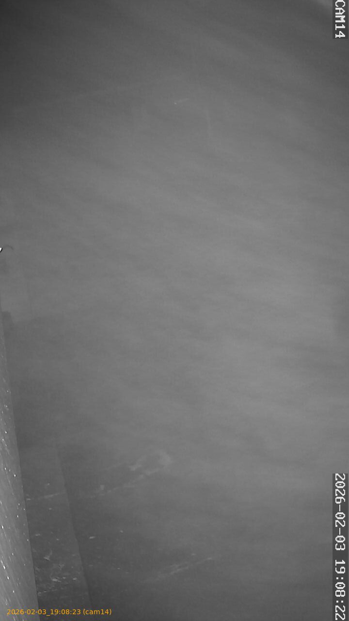 thumbnail_20260203190823