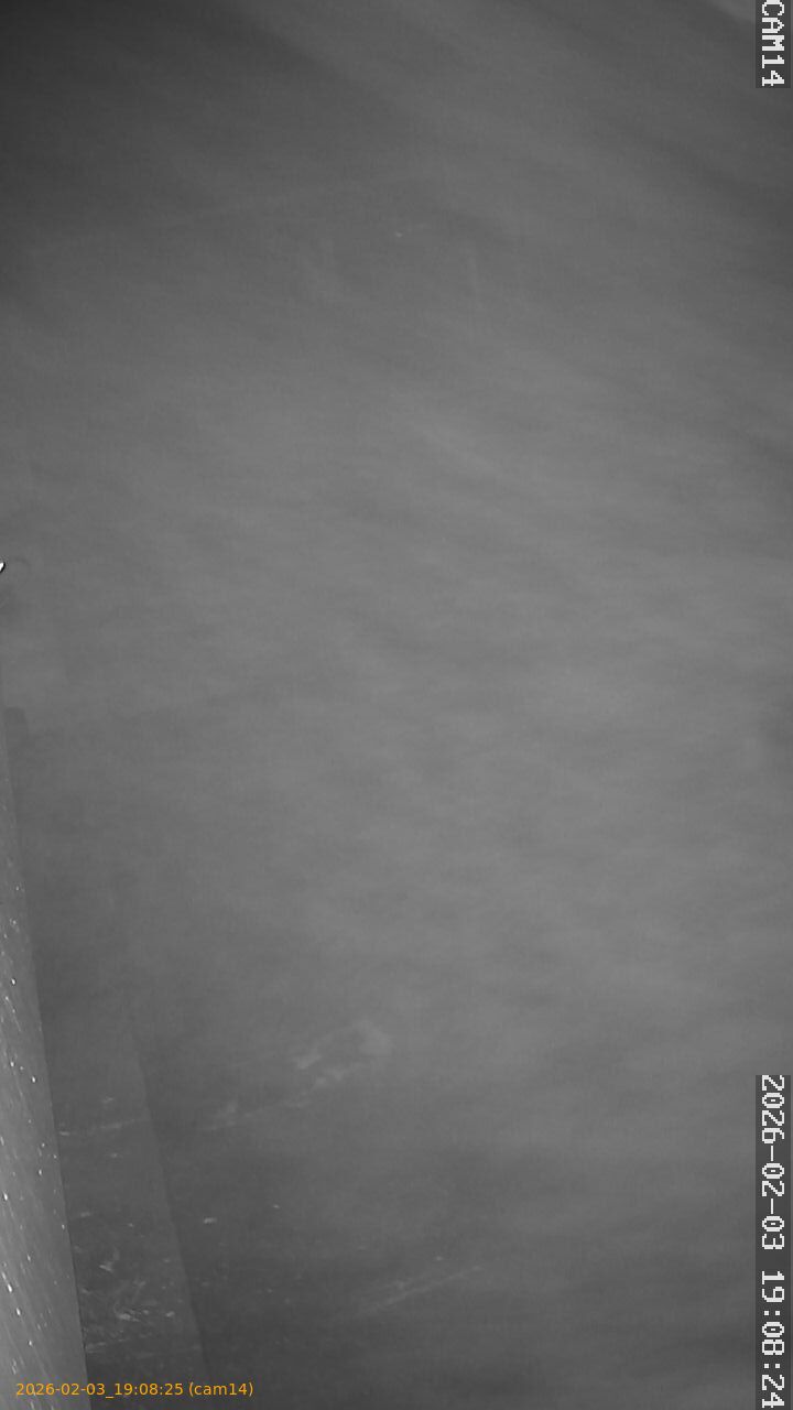 thumbnail_20260203190825