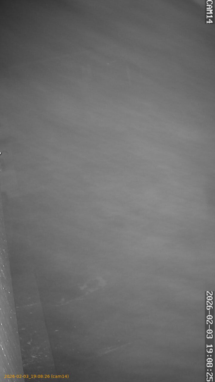 thumbnail_20260203190826