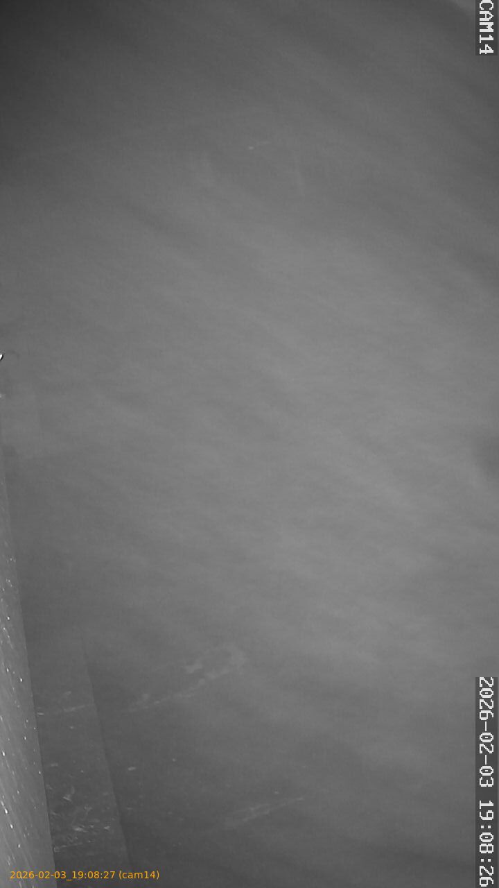 thumbnail_20260203190827