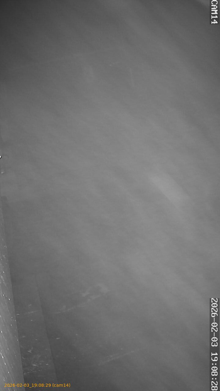 thumbnail_20260203190829