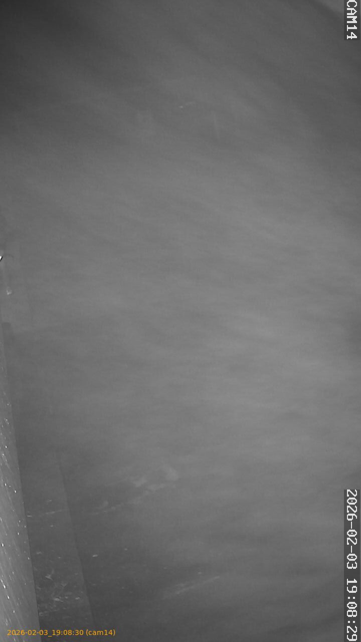 thumbnail_20260203190830