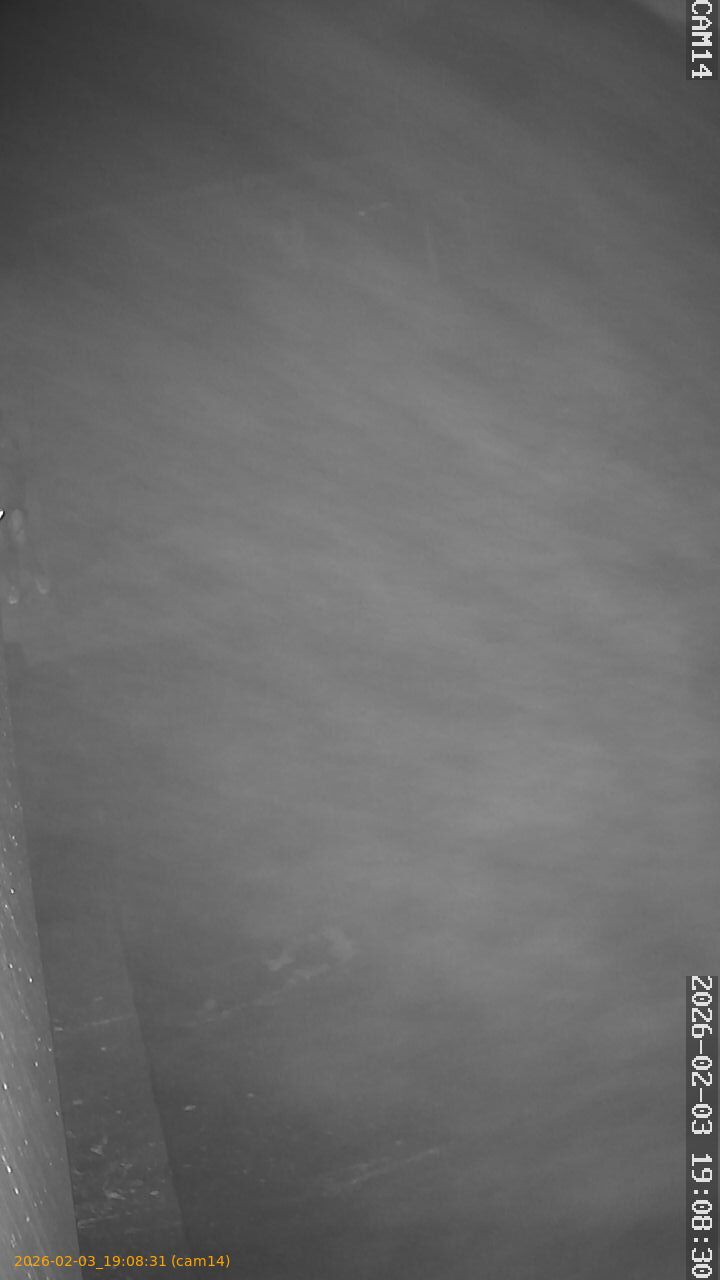 thumbnail_20260203190831