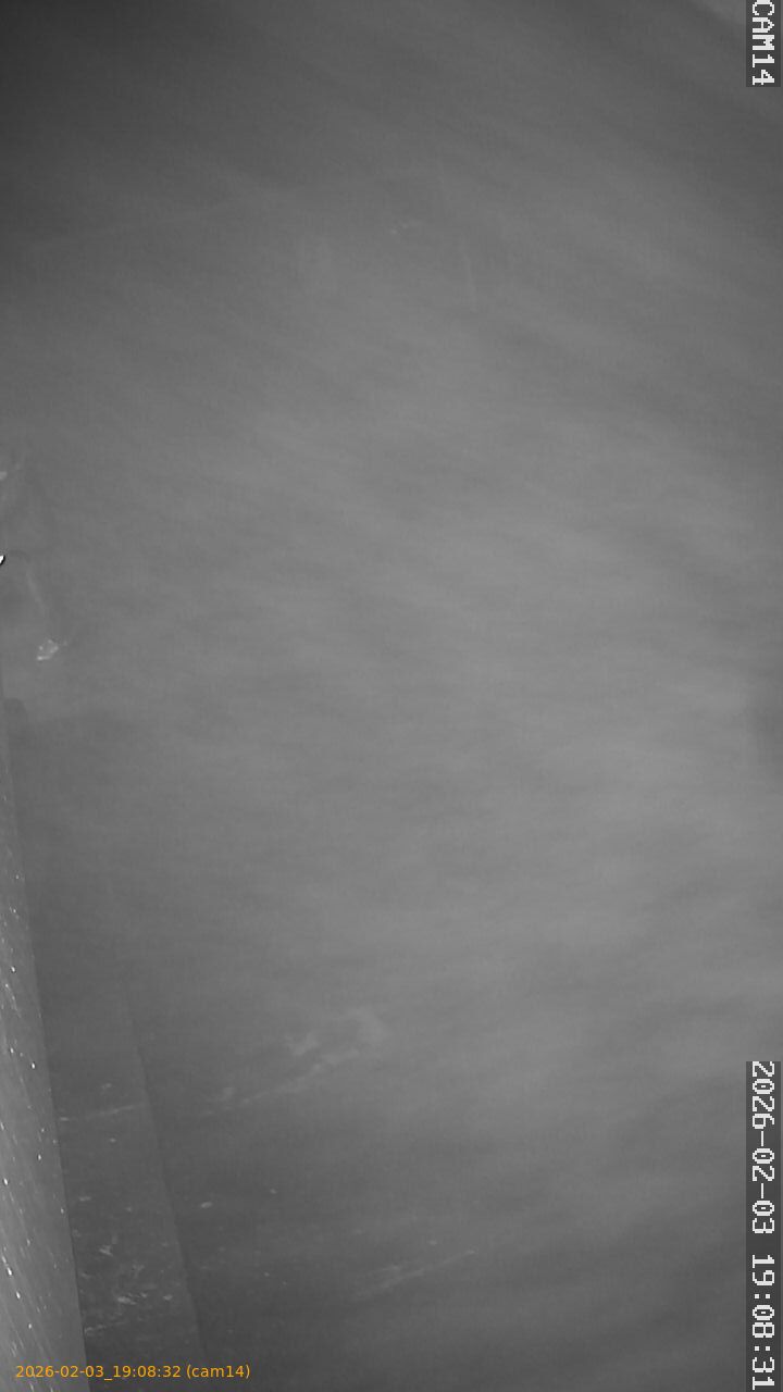 thumbnail_20260203190832