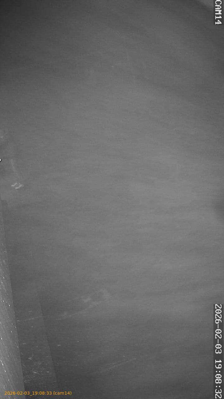 thumbnail_20260203190833