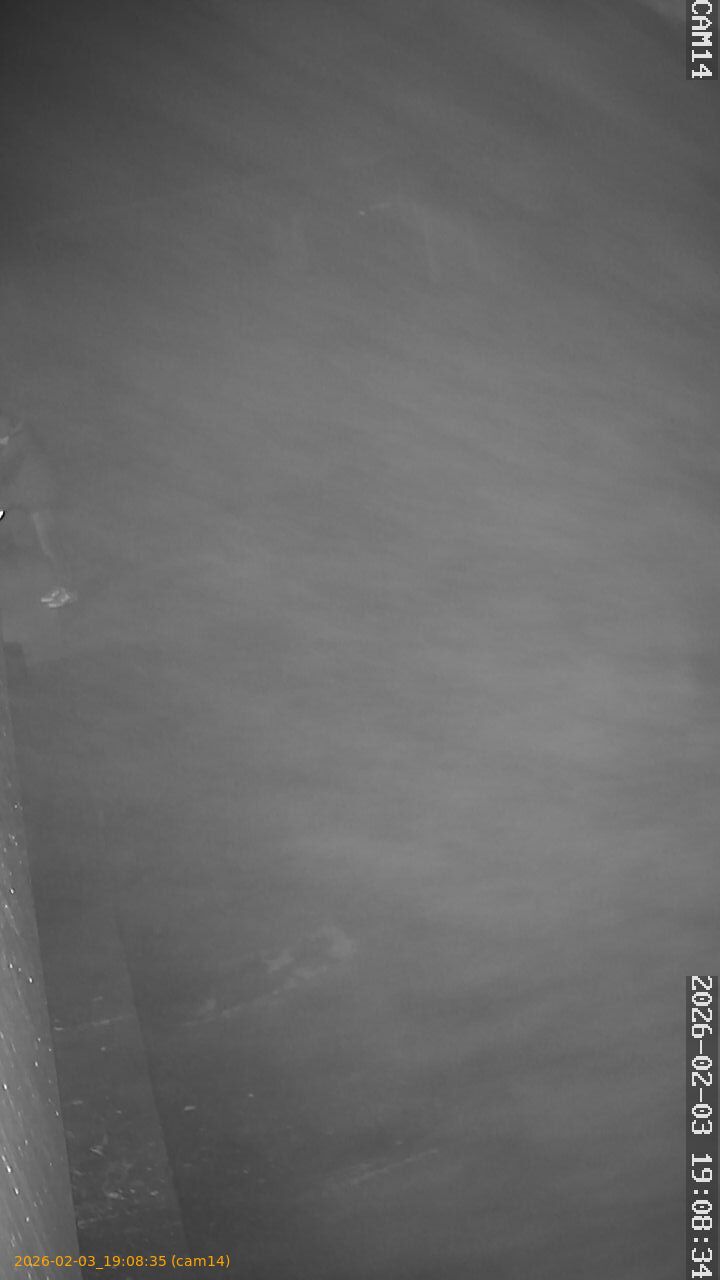 thumbnail_20260203190835