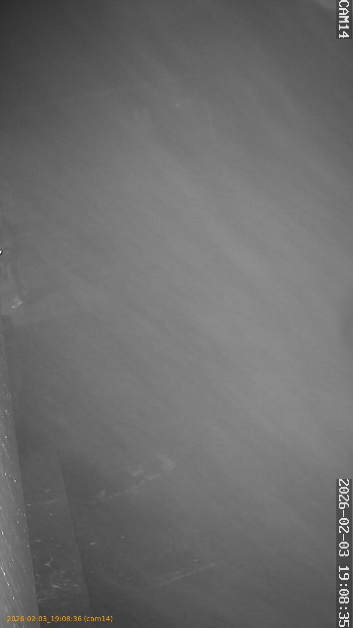 thumbnail_20260203190836