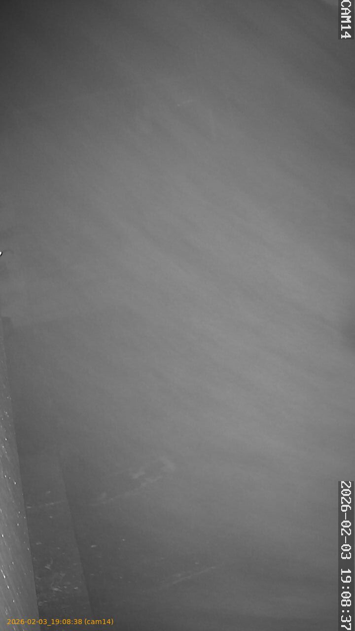 thumbnail_20260203190838