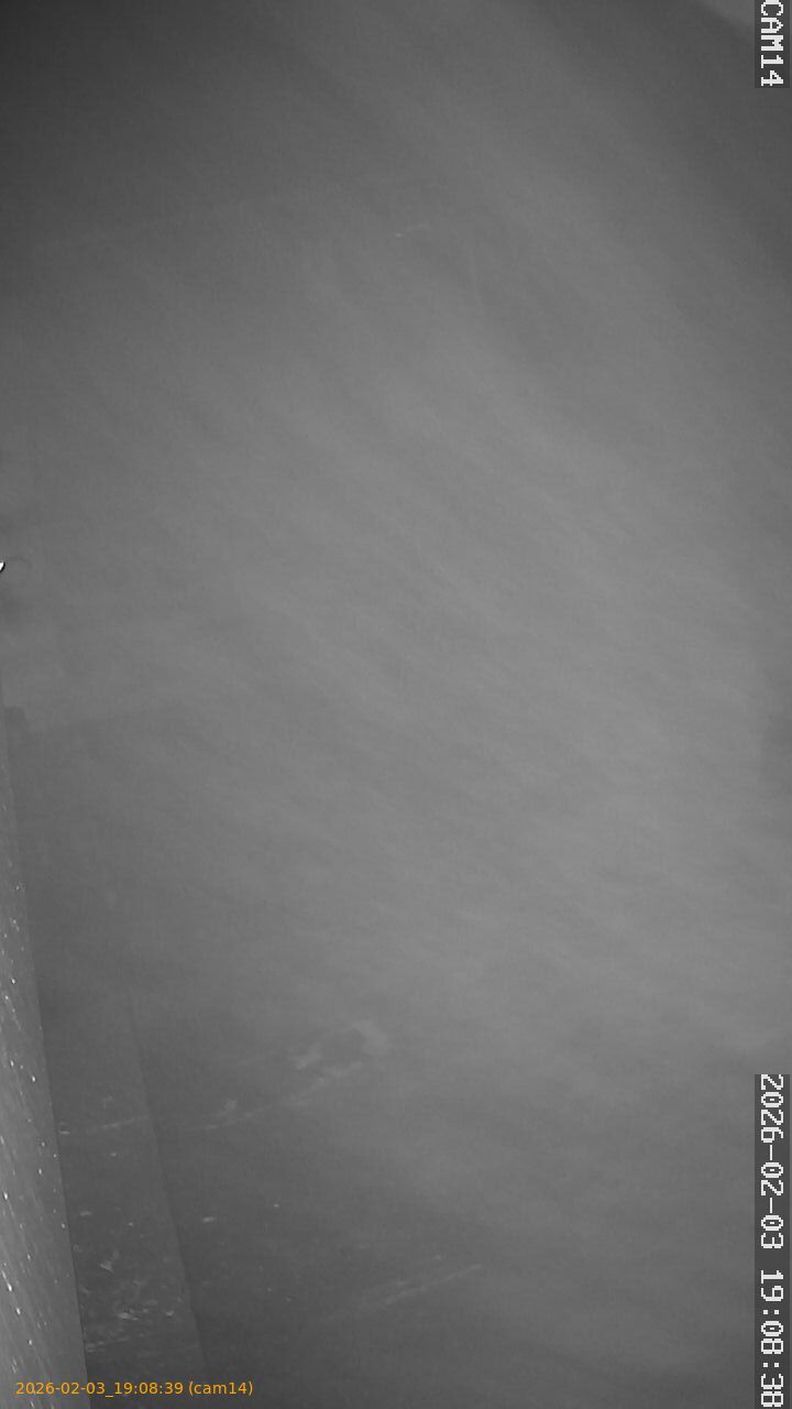 thumbnail_20260203190839