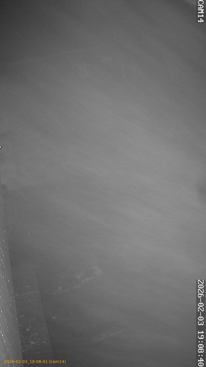 thumbnail_20260203190841