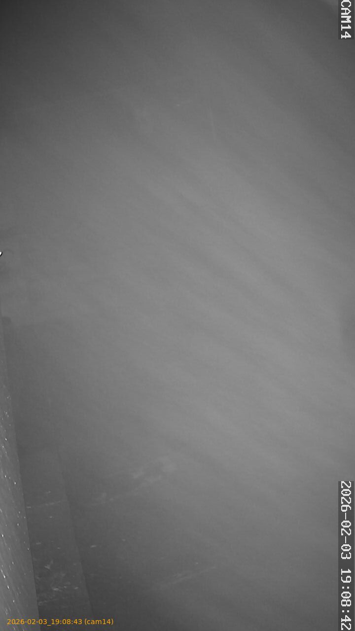 thumbnail_20260203190843