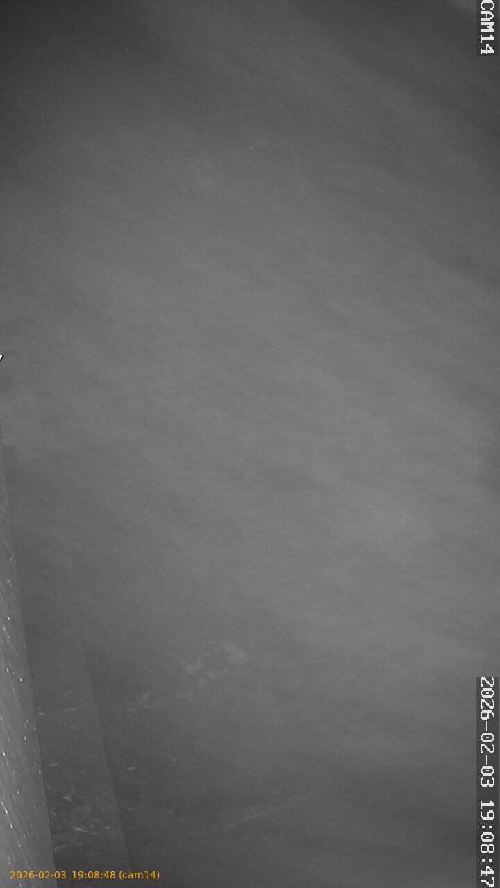 thumbnail_20260203190848