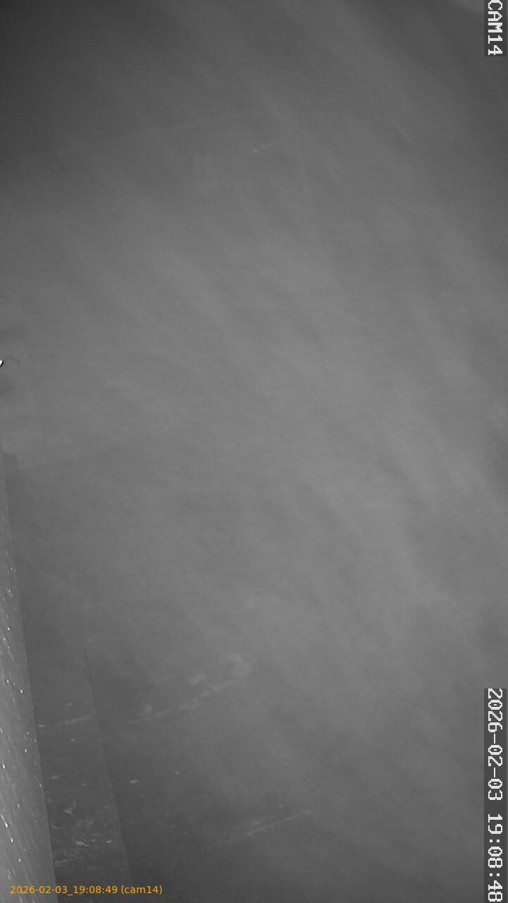 thumbnail_20260203190849