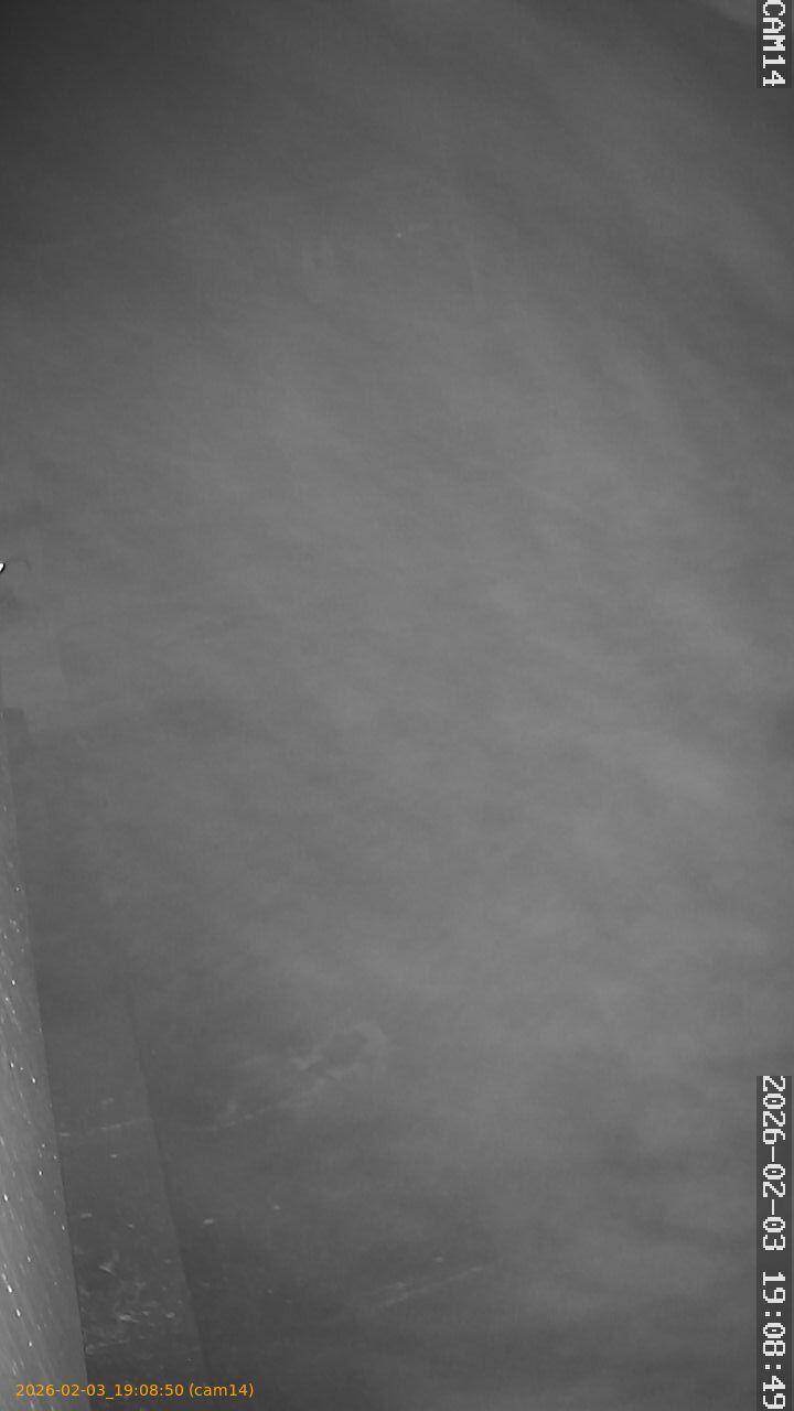 thumbnail_20260203190850