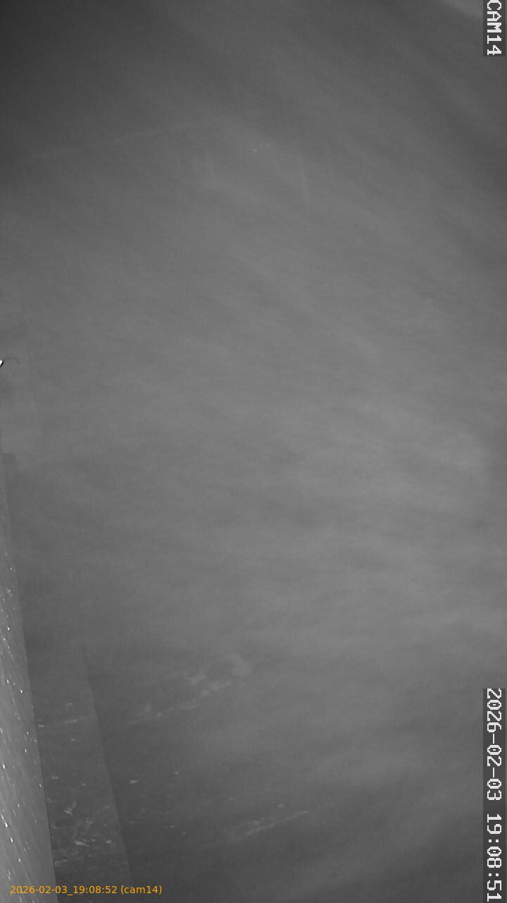 thumbnail_20260203190852