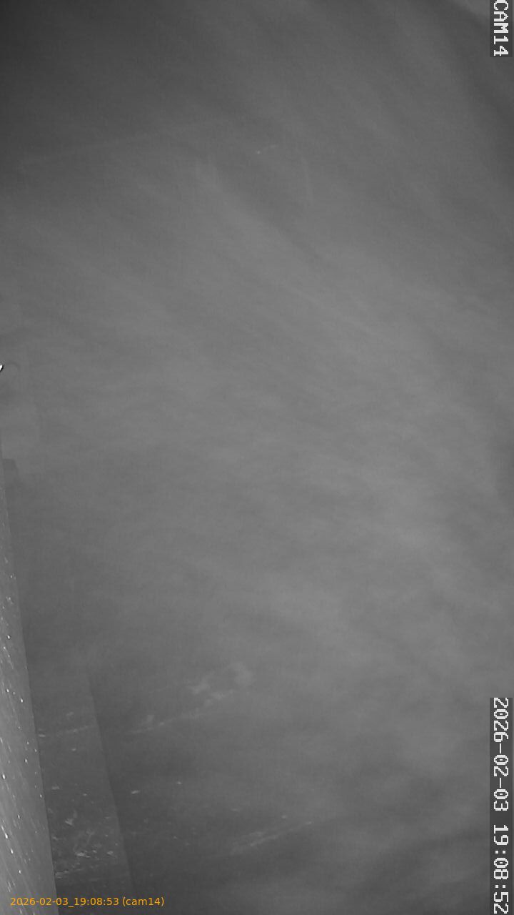 thumbnail_20260203190853