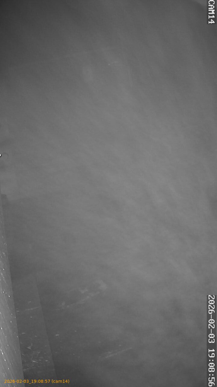 thumbnail_20260203190857