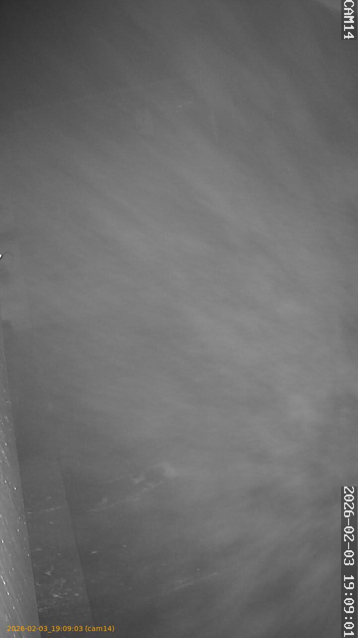 thumbnail_20260203190902