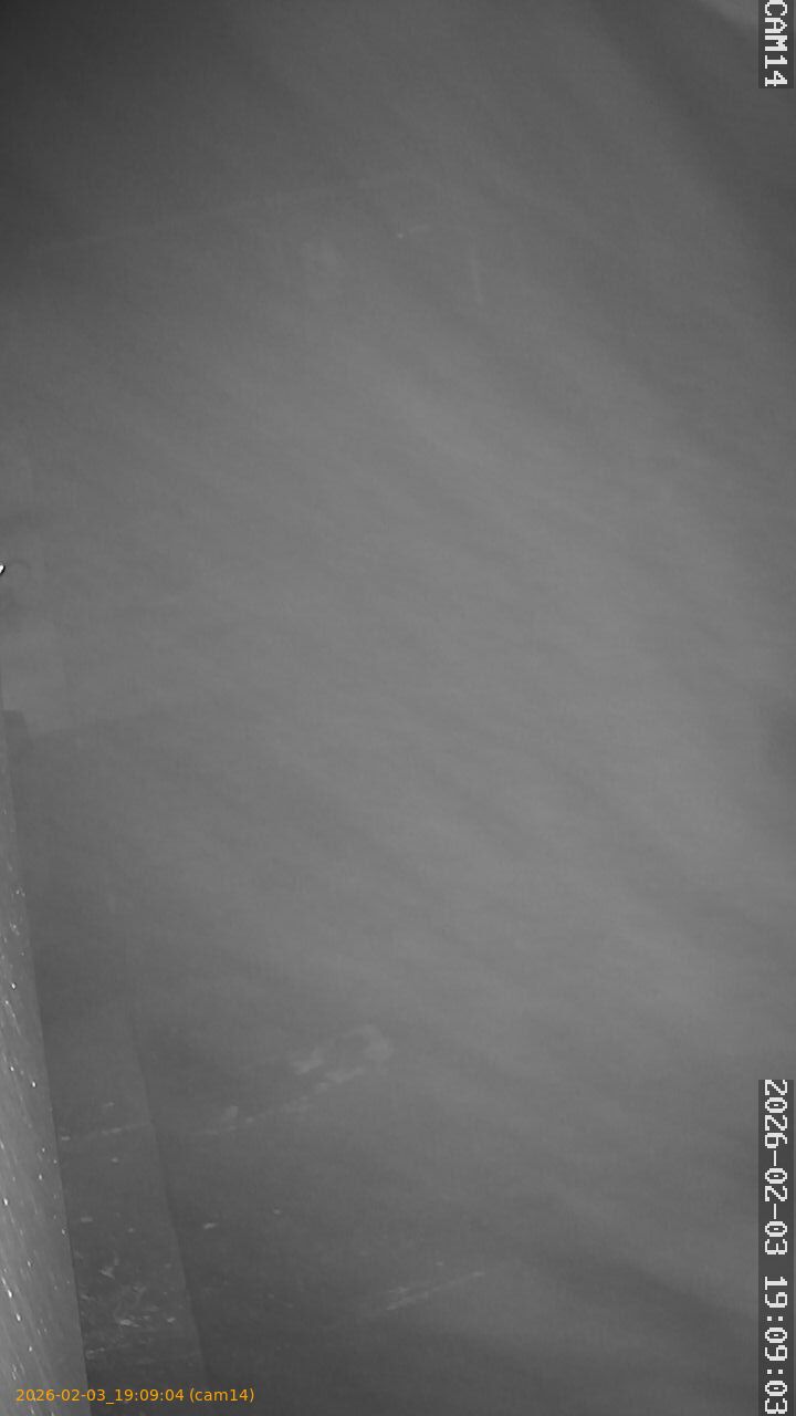 thumbnail_20260203190904