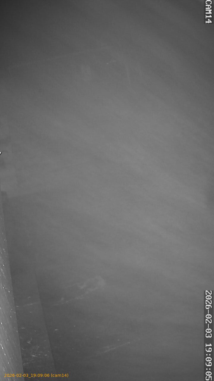 thumbnail_20260203190906