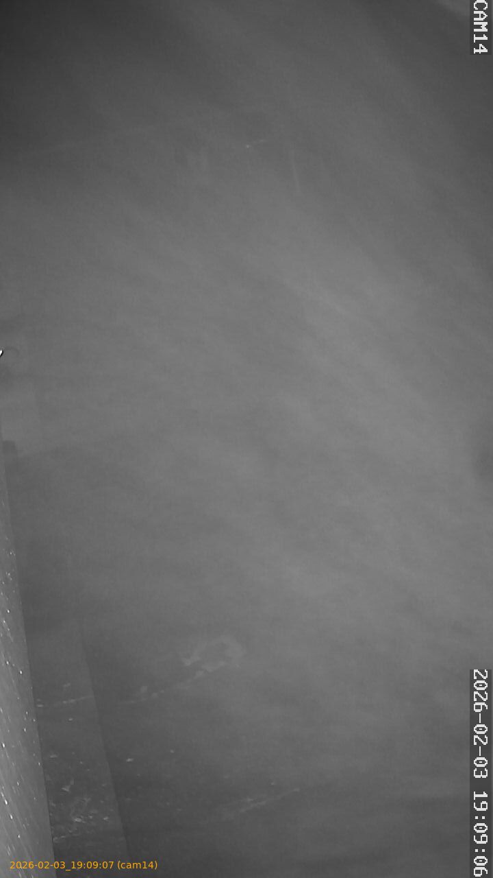 thumbnail_20260203190907