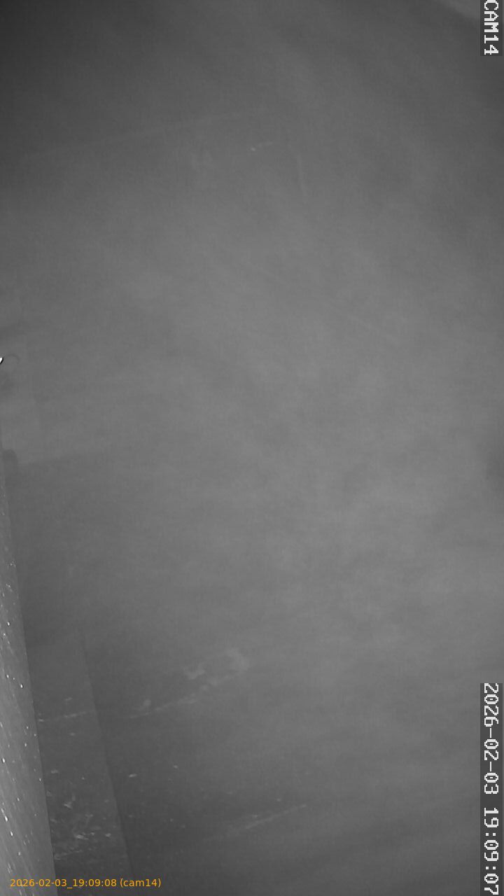 thumbnail_20260203190908