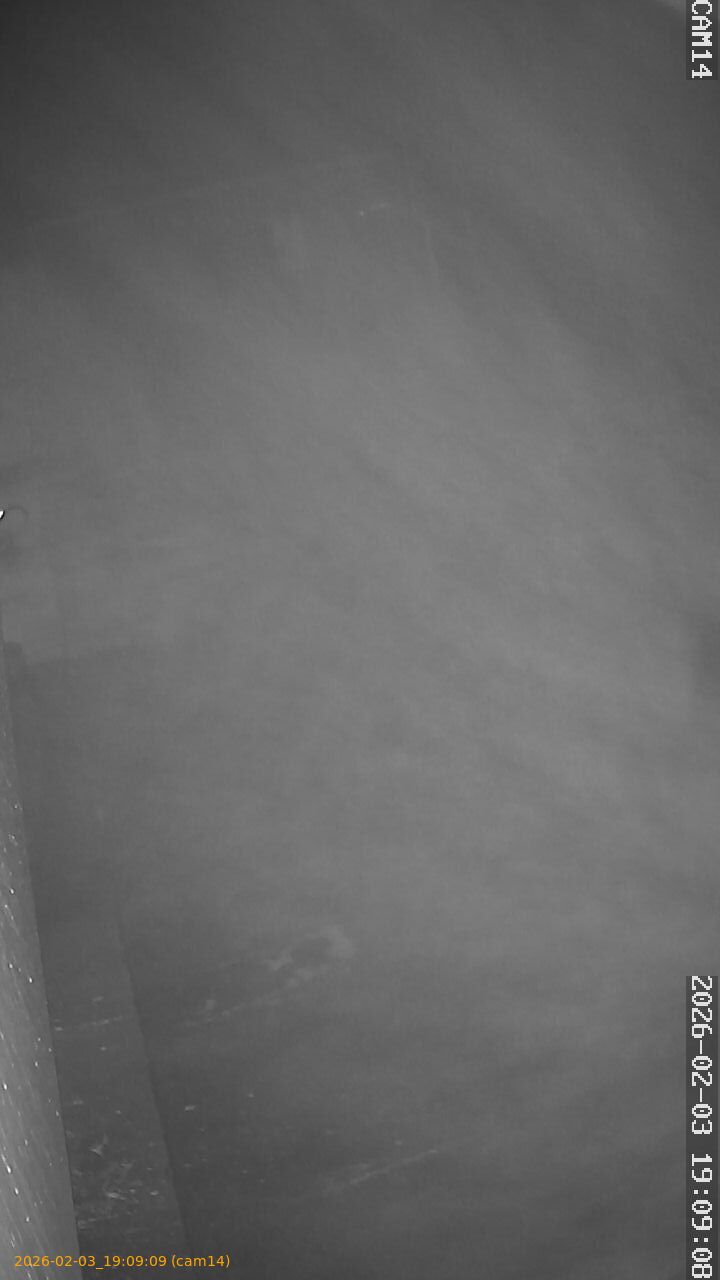 thumbnail_20260203190909