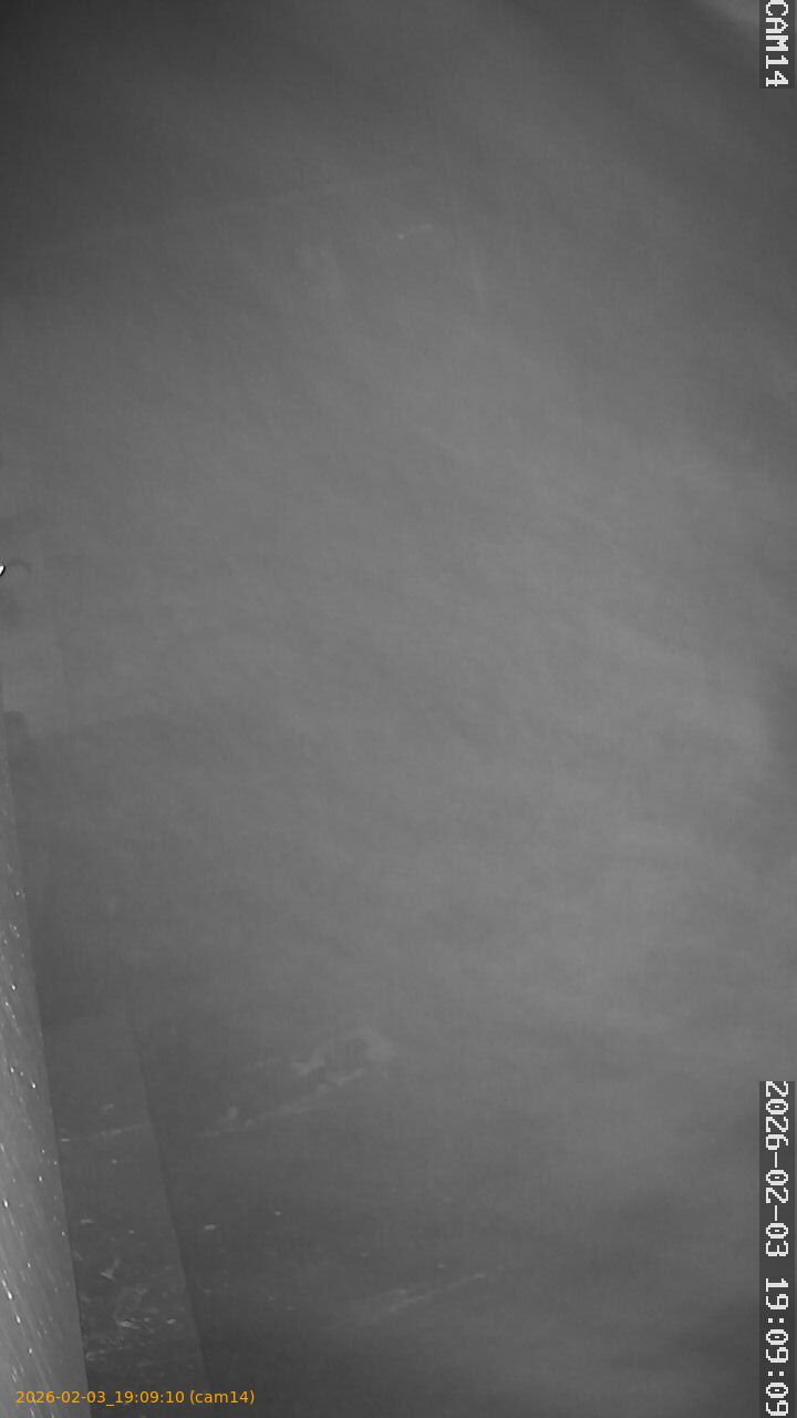 thumbnail_20260203190910