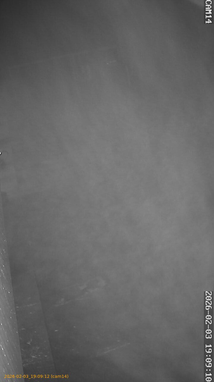 thumbnail_20260203190911