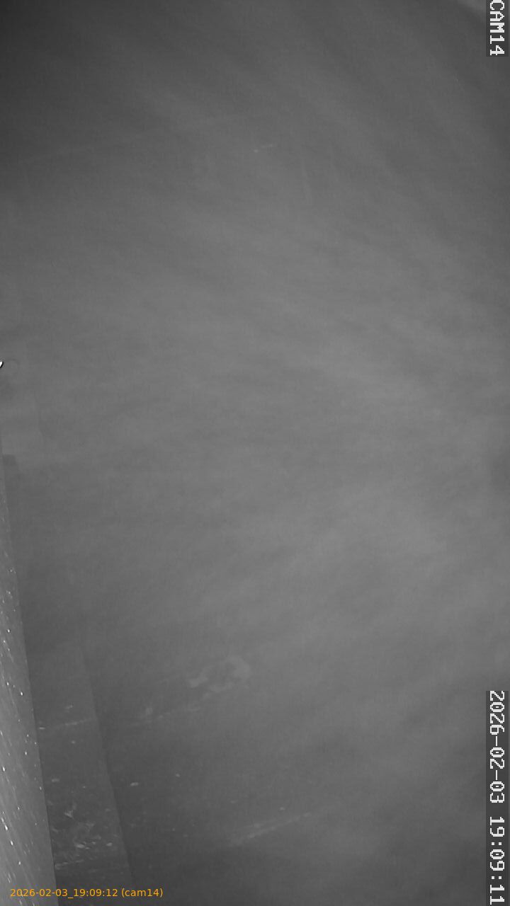 thumbnail_20260203190912