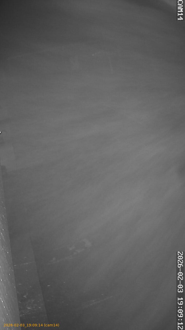 thumbnail_20260203190914