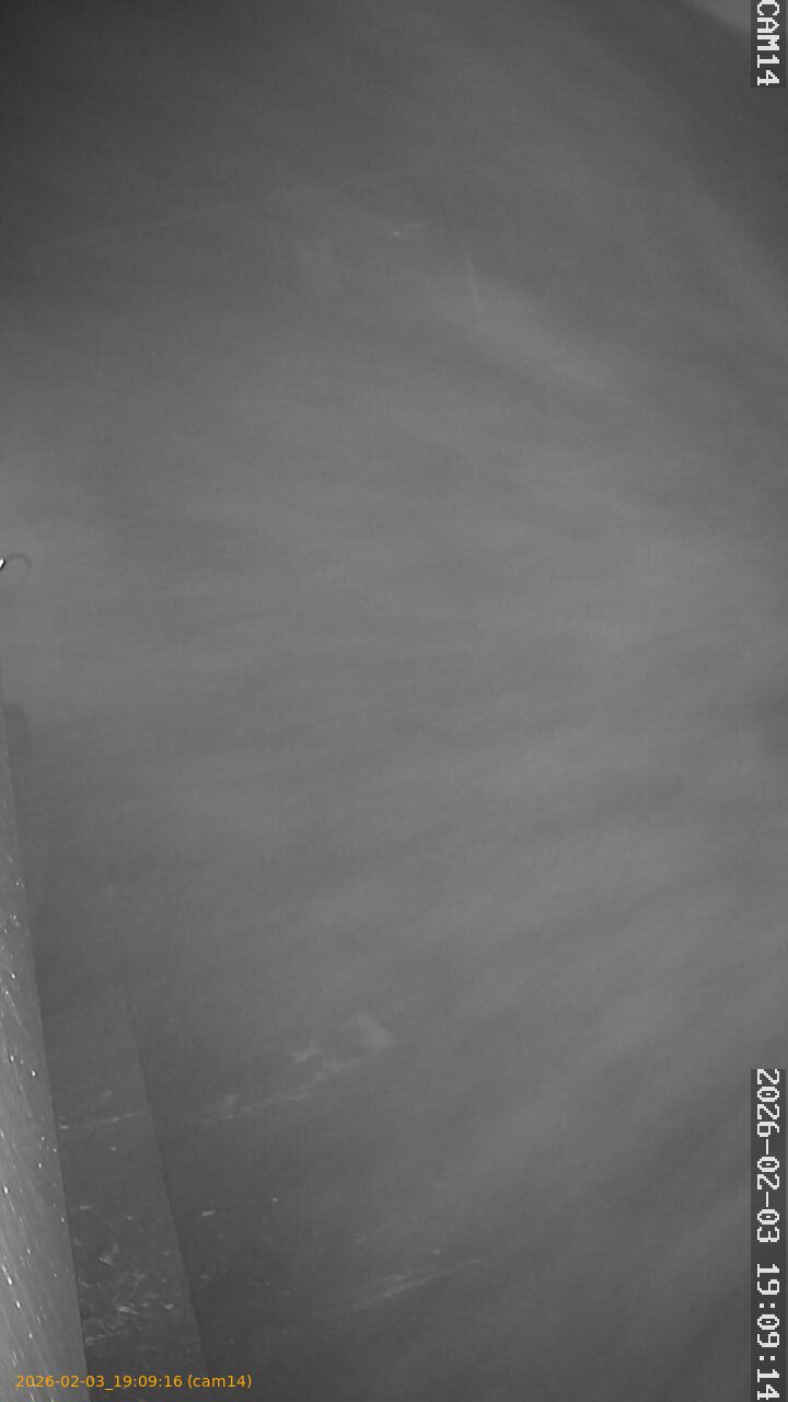 thumbnail_20260203190916