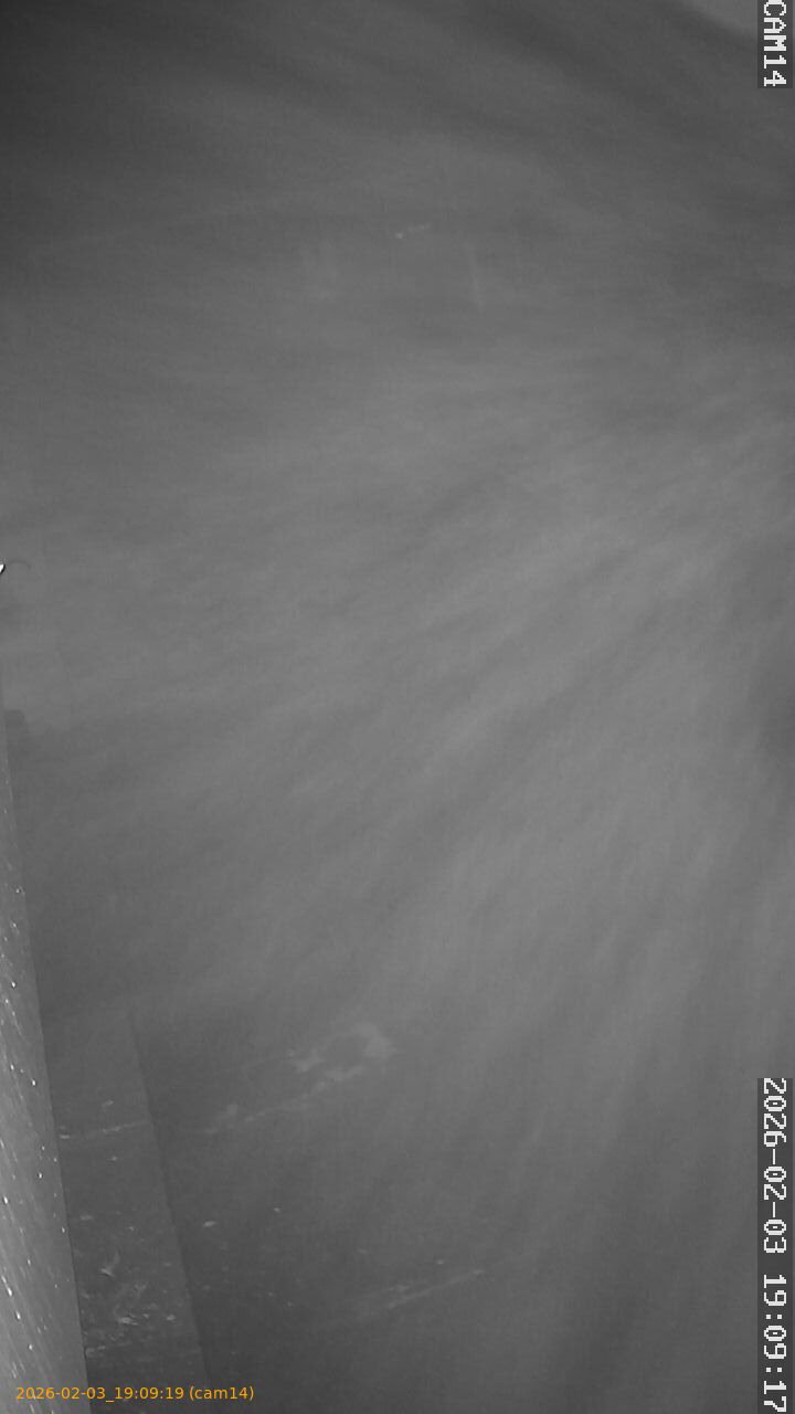 thumbnail_20260203190919