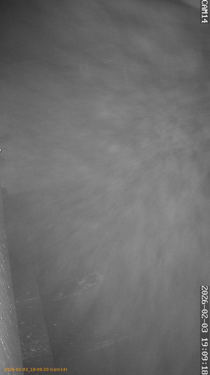 thumbnail_20260203190920