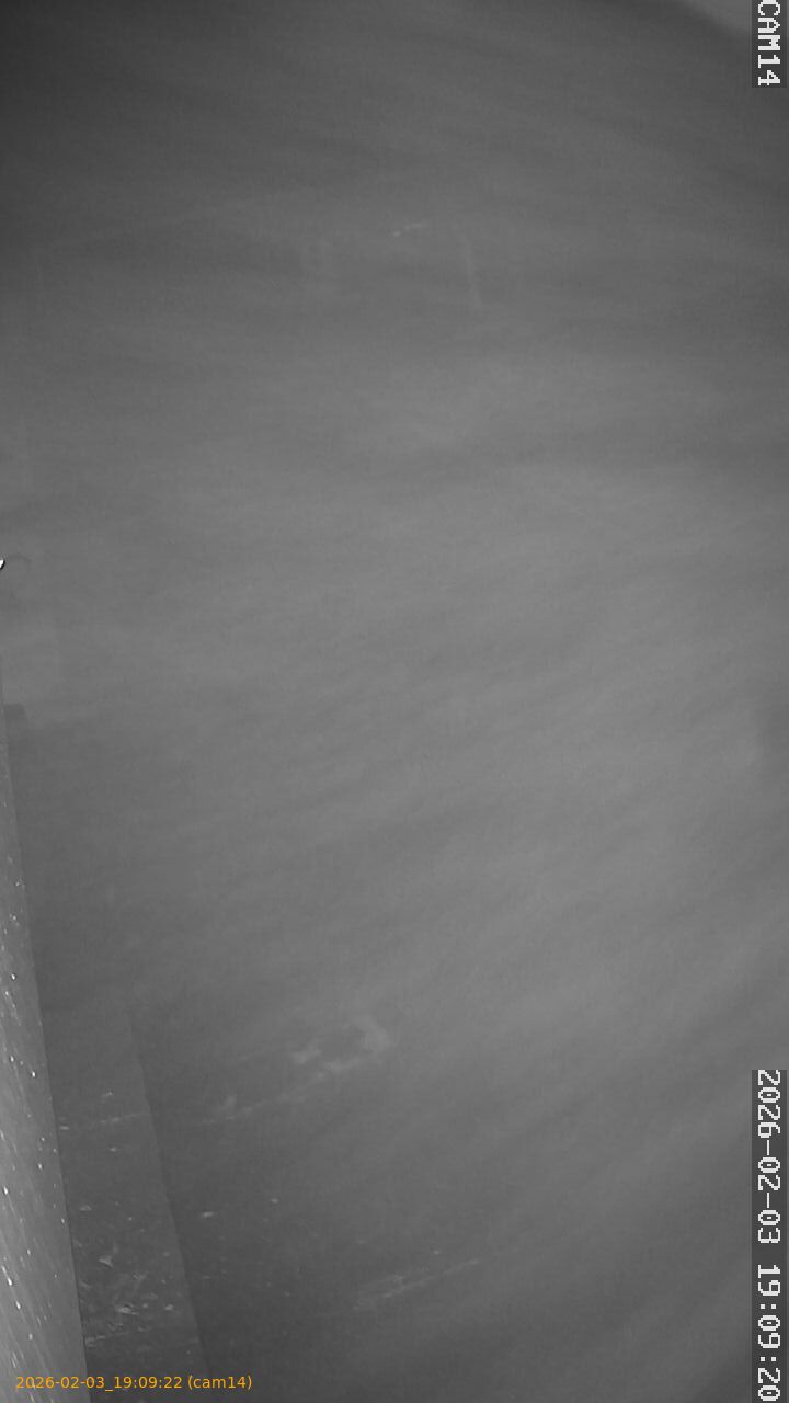 thumbnail_20260203190922