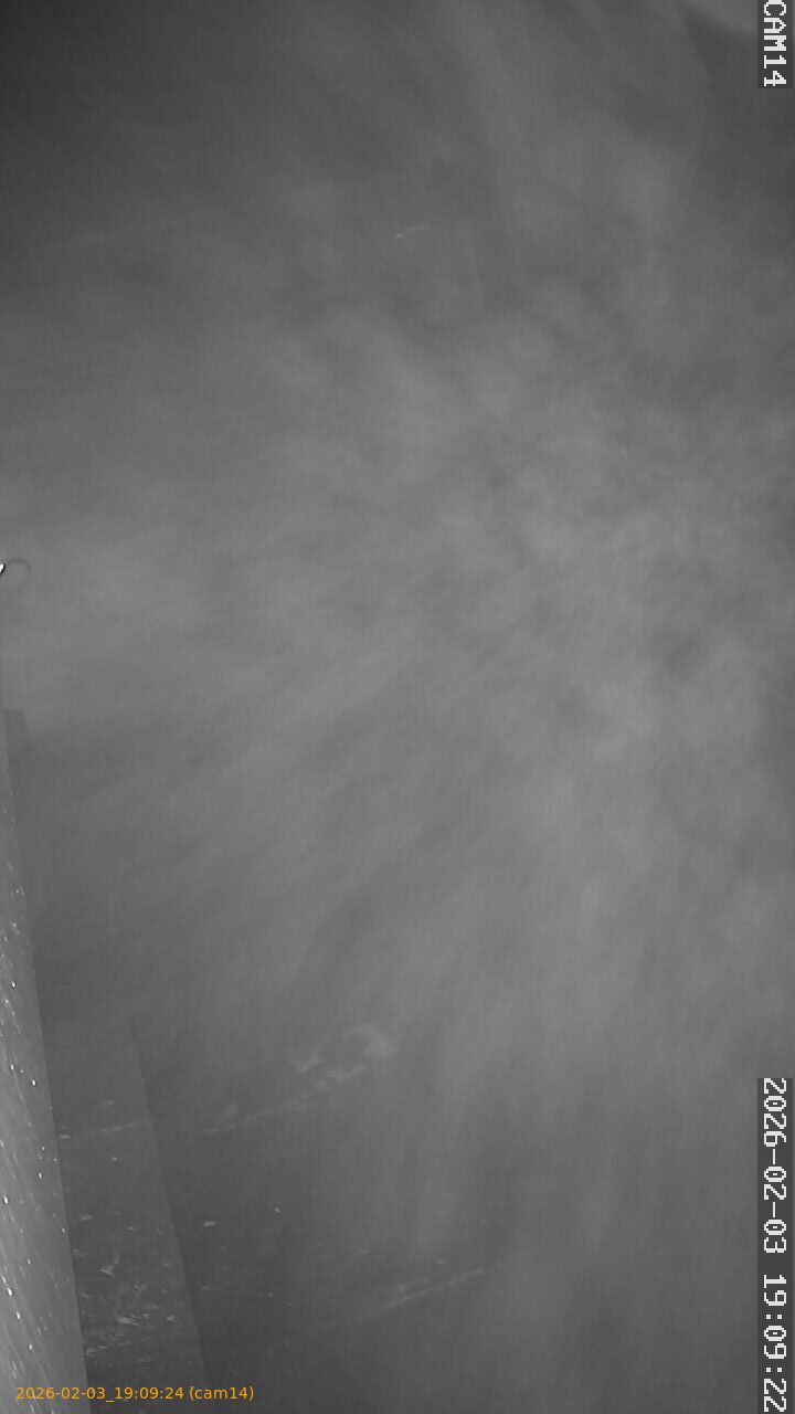 thumbnail_20260203190924