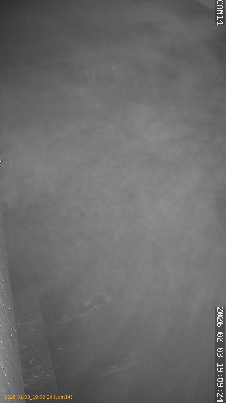 thumbnail_20260203190926