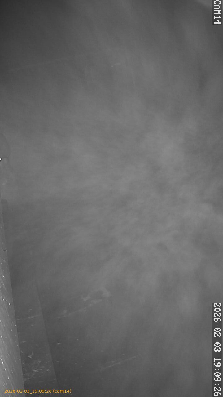 thumbnail_20260203190928