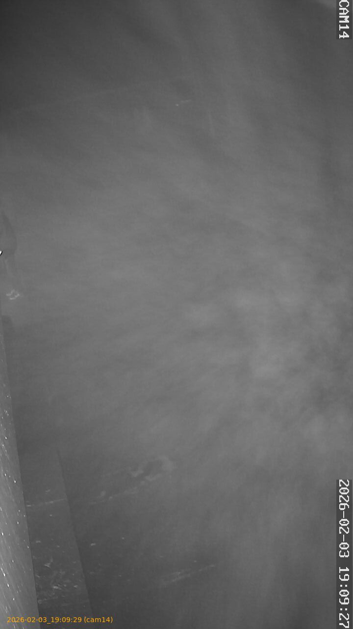 thumbnail_20260203190929