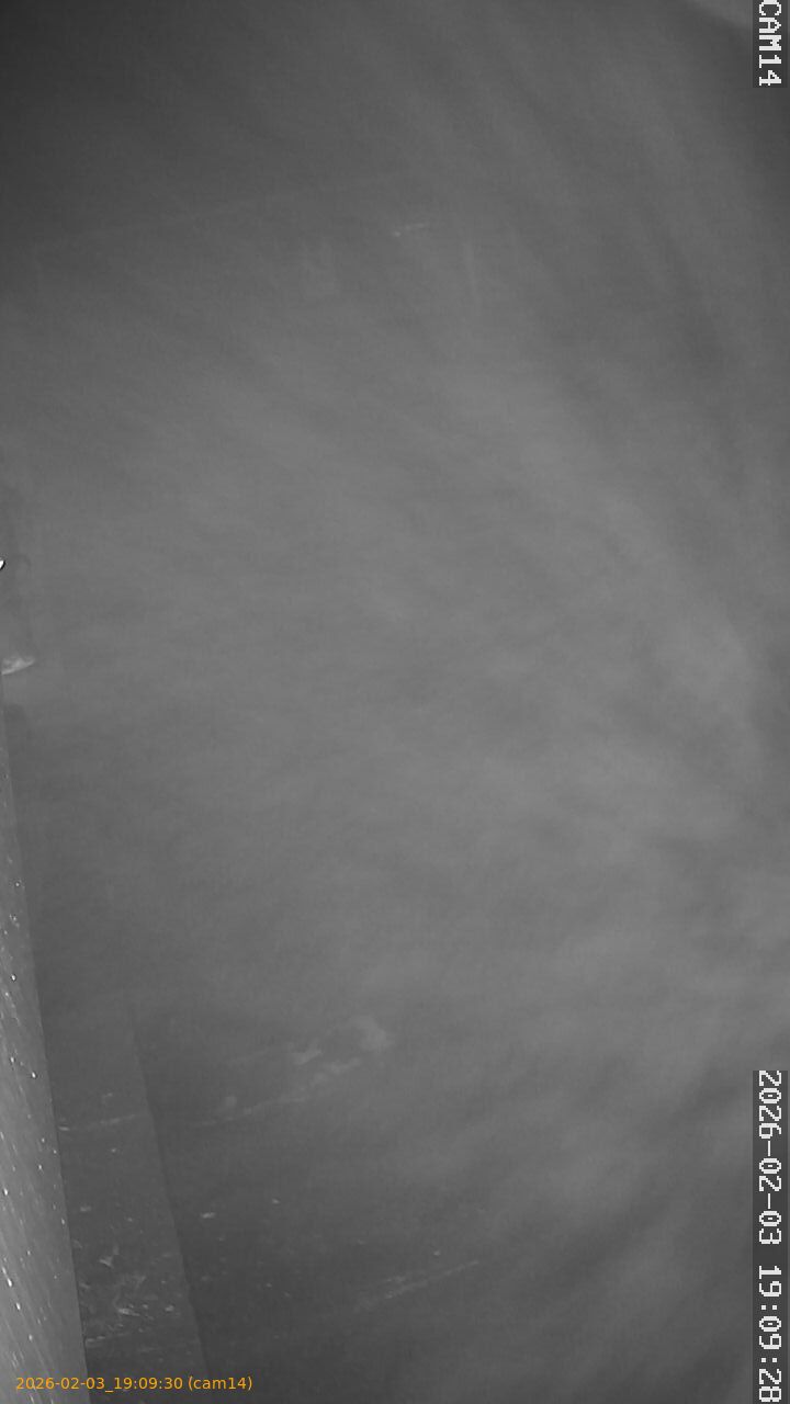 thumbnail_20260203190930