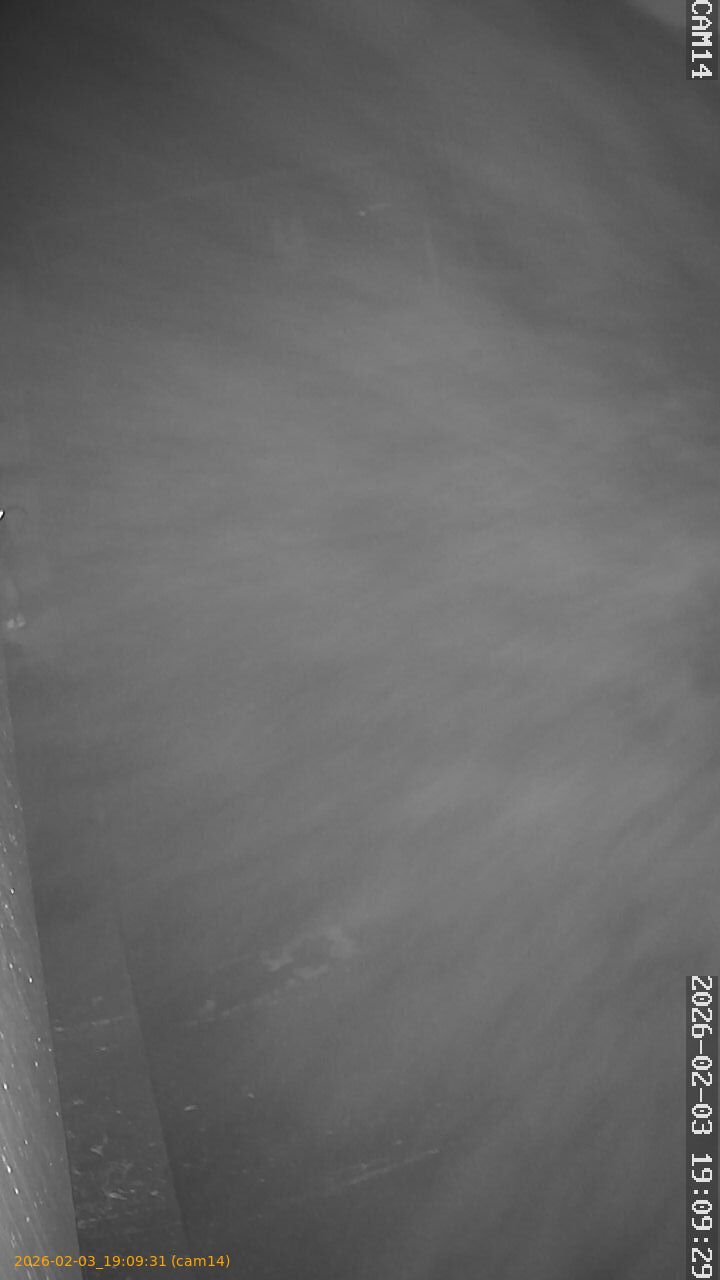 thumbnail_20260203190931