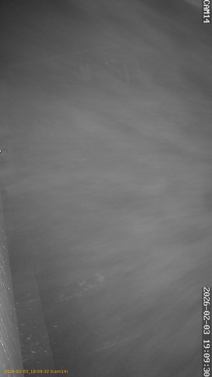 thumbnail_20260203190932