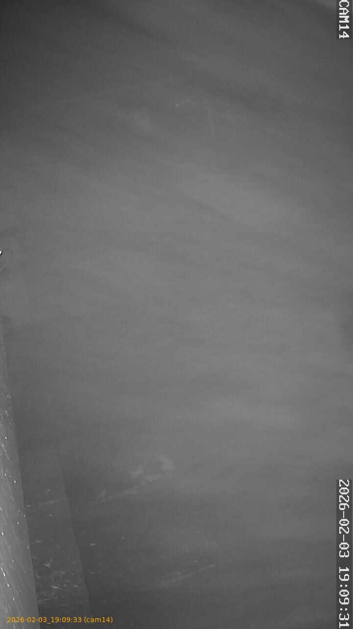 thumbnail_20260203190933