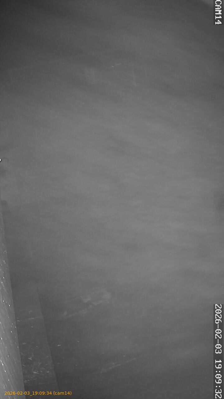 thumbnail_20260203190934