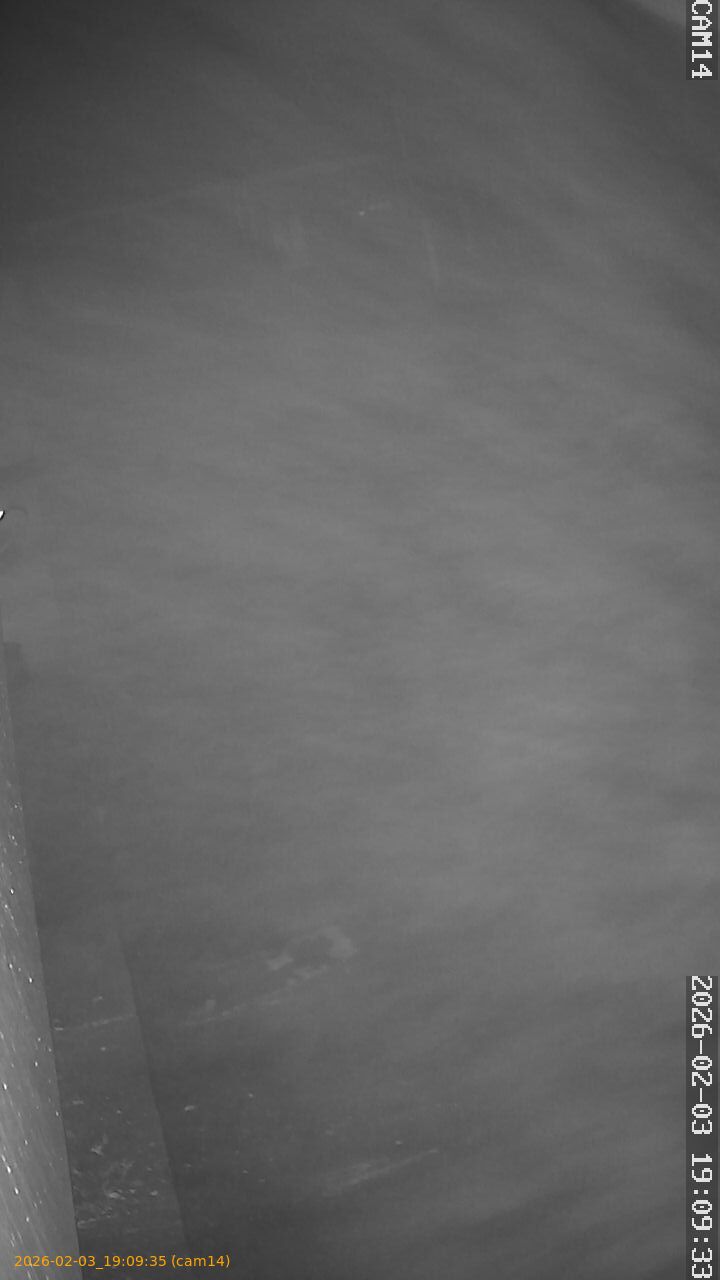 thumbnail_20260203190935