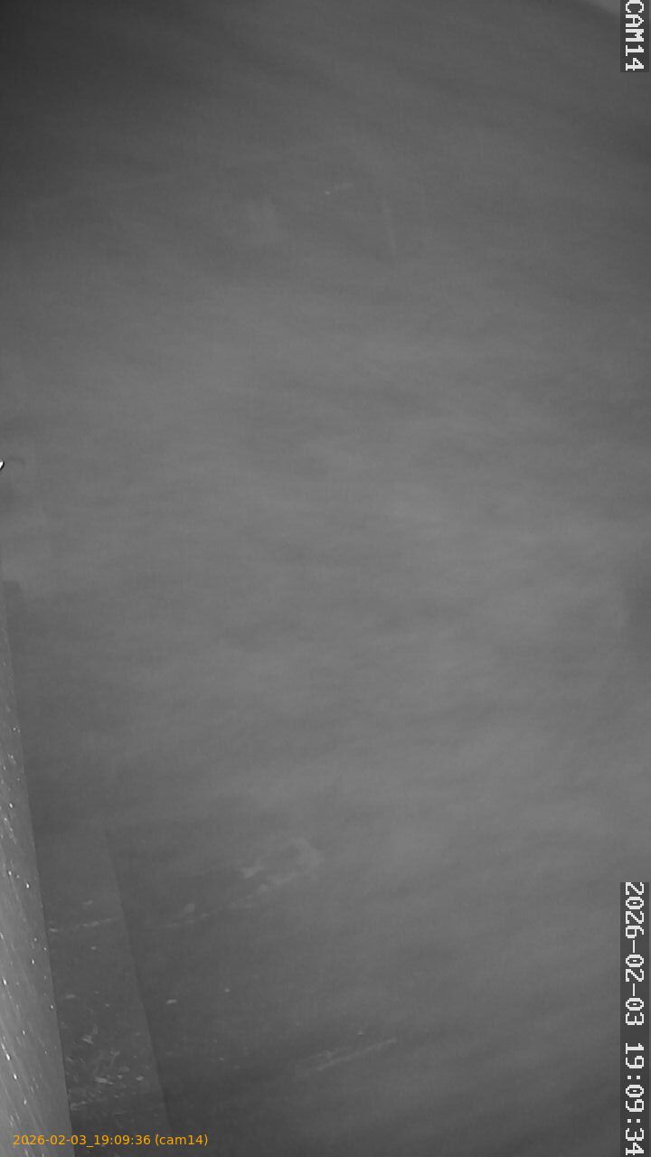 thumbnail_20260203190936